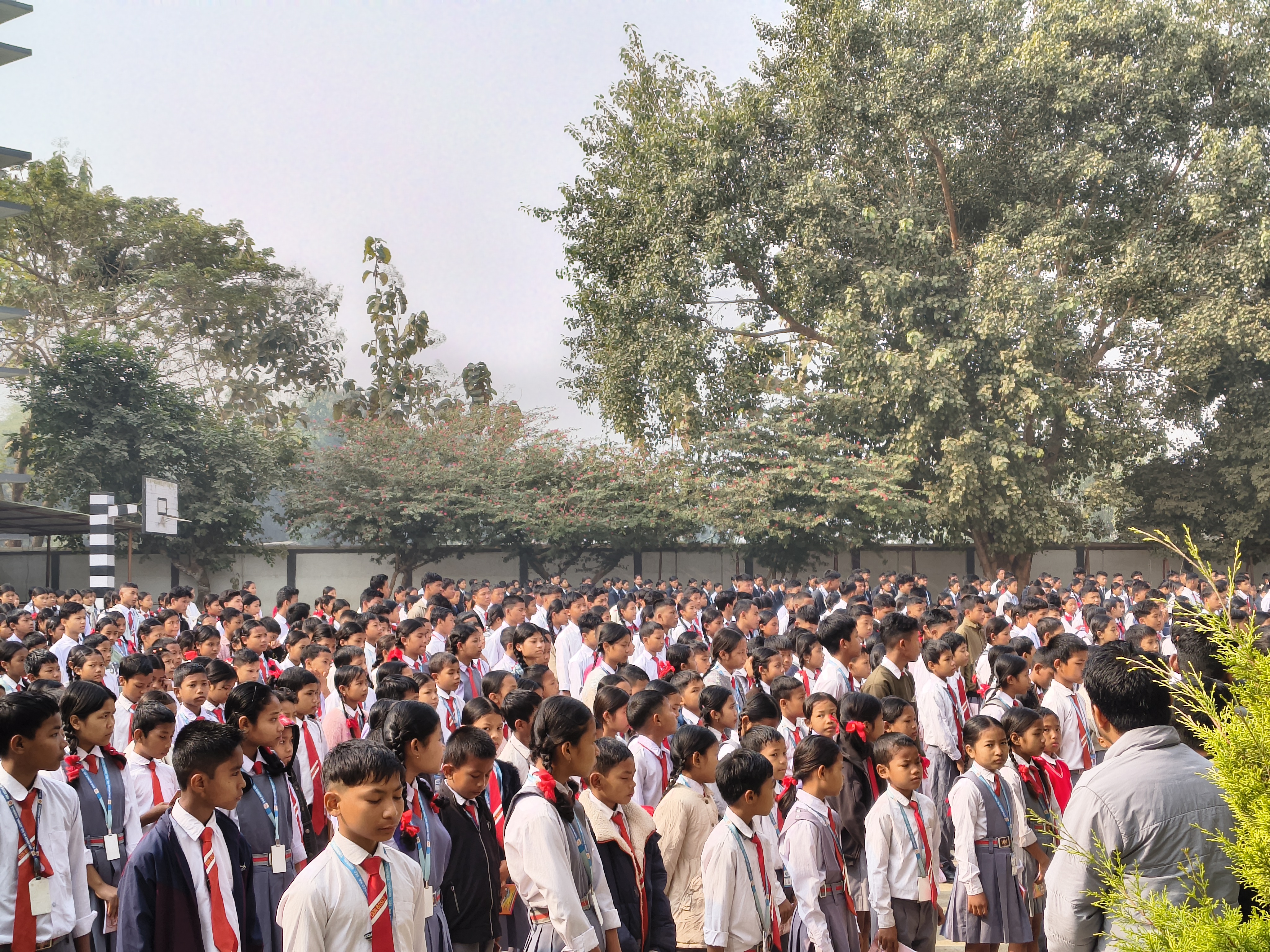 Senior students